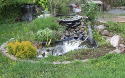 Transform Your Backyard into a Relaxing Oasis: A Step-by-Step Guide to Building a Water Feature