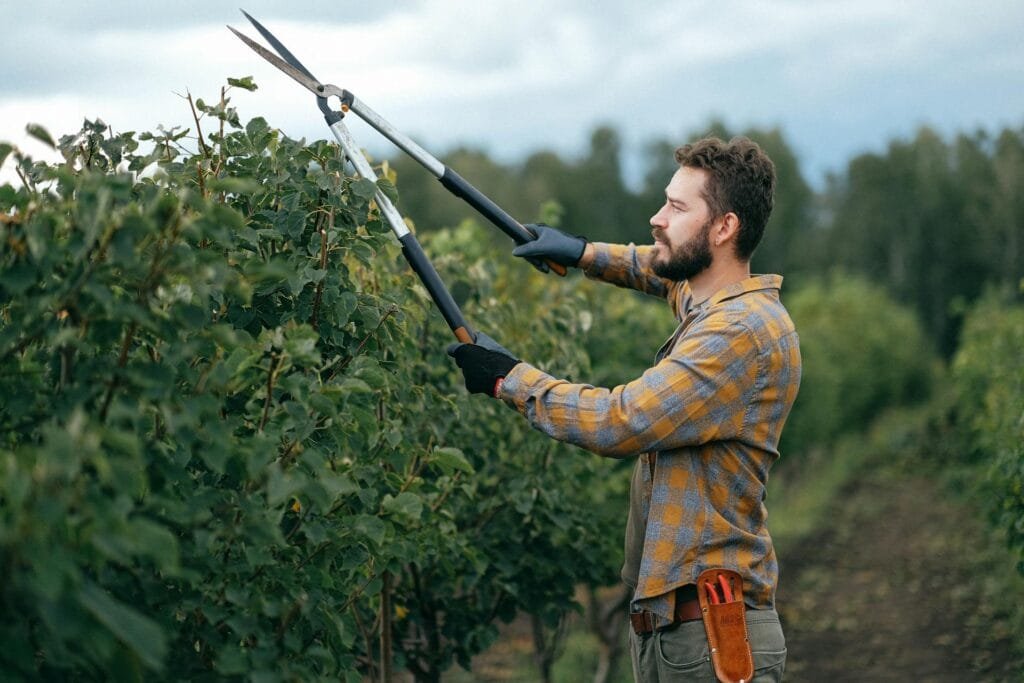 Eddie Andrews | Eddy Andrews Handyman Services Eddie Andrews