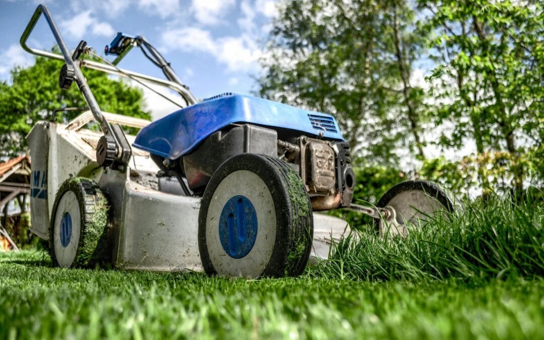 2024’s Top Picks: A Review of the Best Lawn Mowers for Your Yard