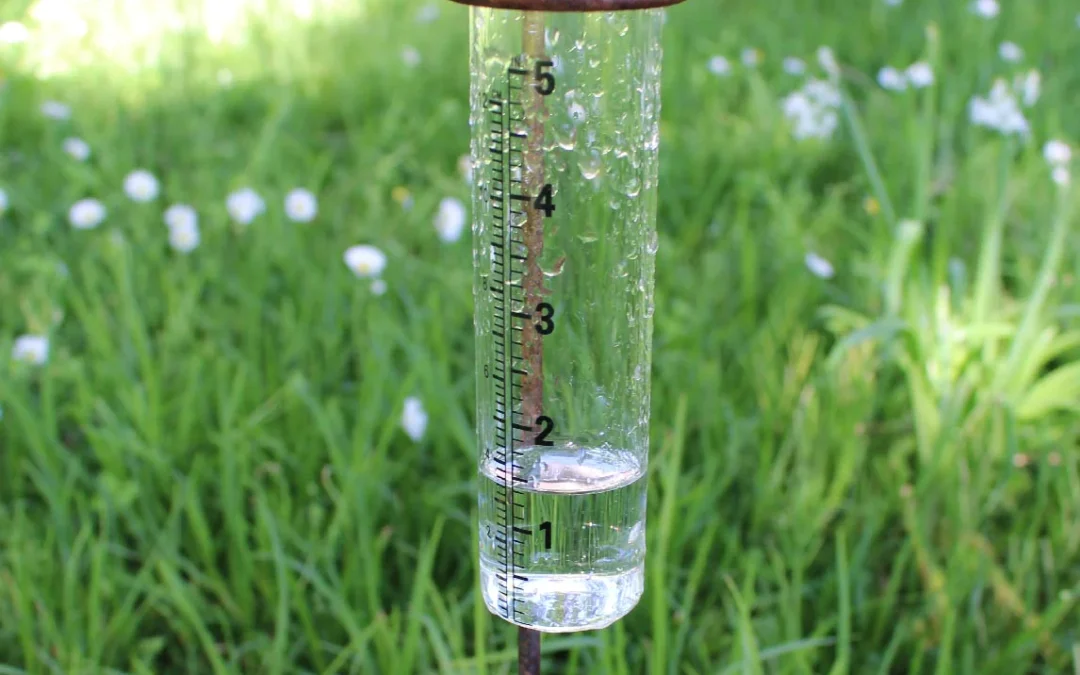 DIY Weather Watching: Building Your Own Rain Gauge